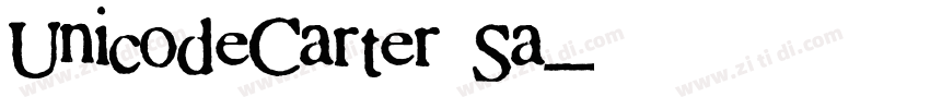 UnicodeCarter Sa字体转换